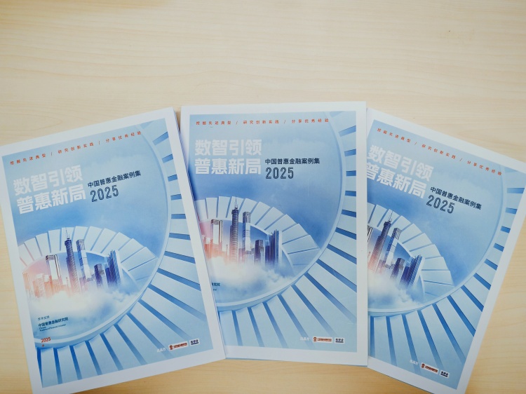 金控小貸公司“最后一公里” 服務(wù)案例···